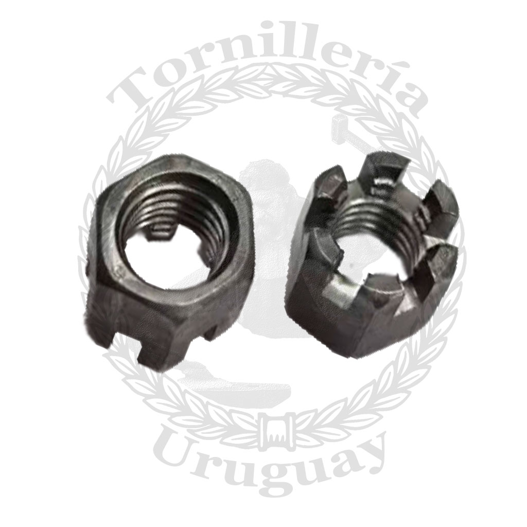 Tuerca castillo MA 22 x 2.5 mm