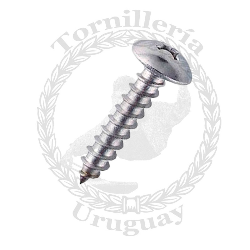Tornillo  para chapa cabeza redonda Phillips 4.2 x 19 mm