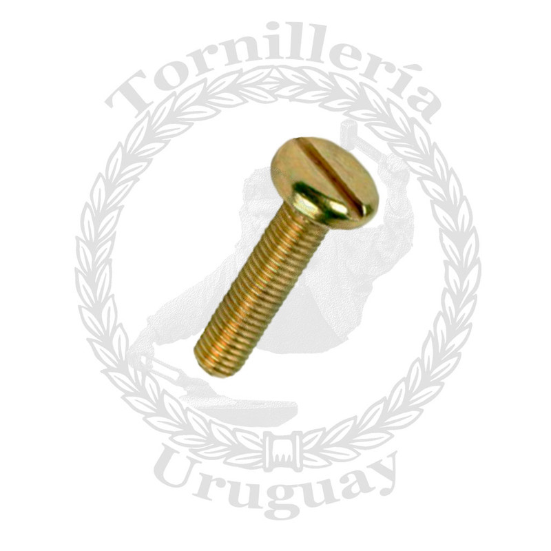 Tornillo para metal cabeza cilíndrica paleta 6-1.0x40