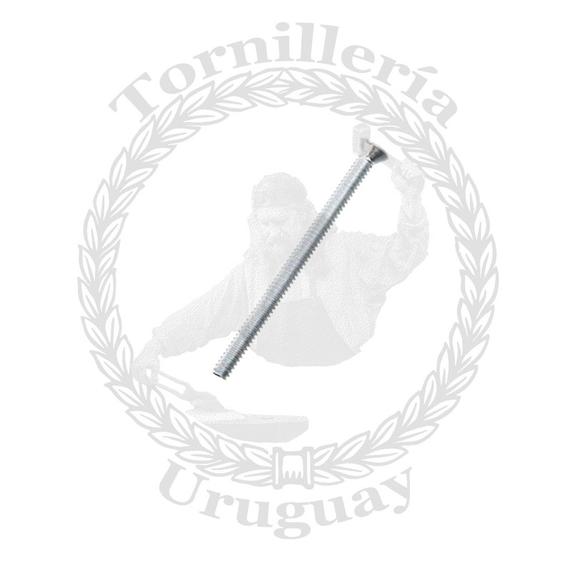 Tornillo para plaqueta de luz cabeza fresada Nº 6 x 3"