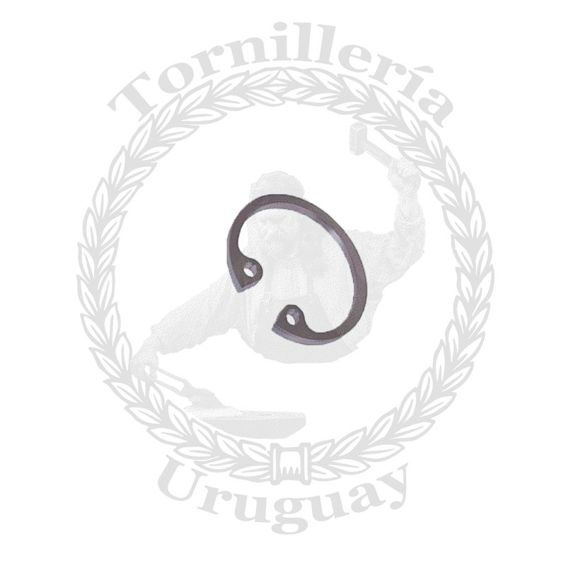 Seguro Interior DIN 472 I 43