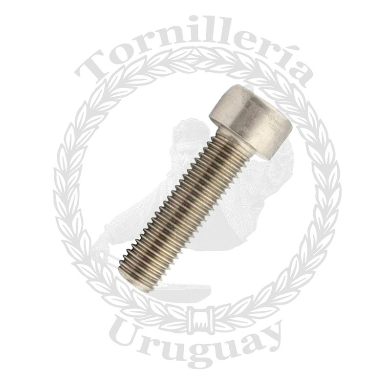 Allen cabeza cilíndrica acero inox. 1/4" x 1"