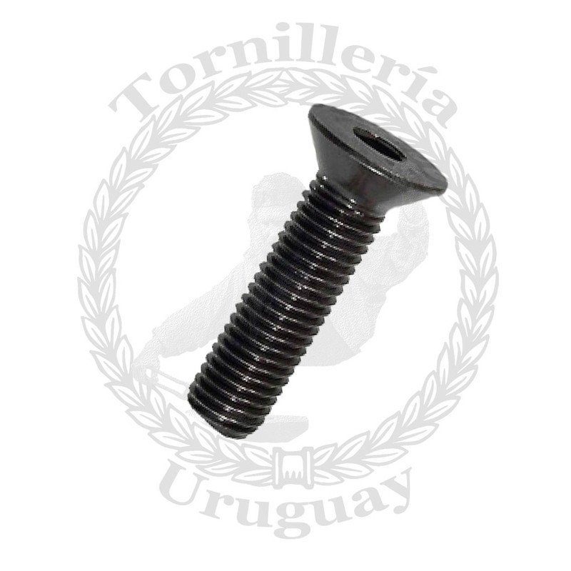 Allen cabeza fresada Gr. 8.2 UNC 1/4" x 1"1/4