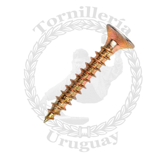 [038*6210] Tornillo para madera Phillips 6.0 x 110 mm