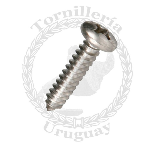 [044*5516] Tornillo  para chapa cabeza binding Phillips 5.5 x 16 mm