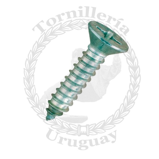 [051*4819] Tornillo  para chapa cabeza fresada Phillips 4.8 x 19 mm
