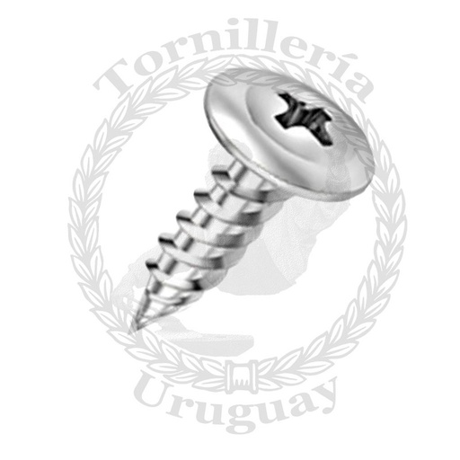 [421*4225] Tornillo punta aguja para yeso cabeza flangeada “ T1” 4.2x25
