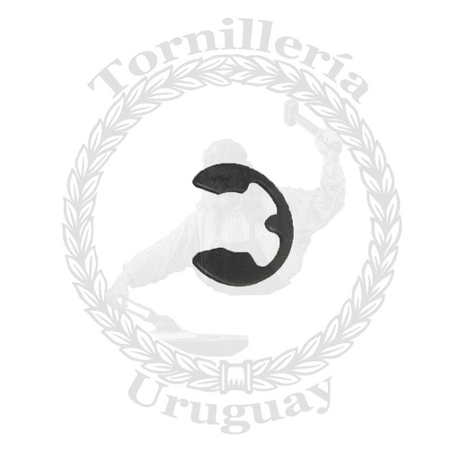 [543*0019] Seguros DIN RS 19