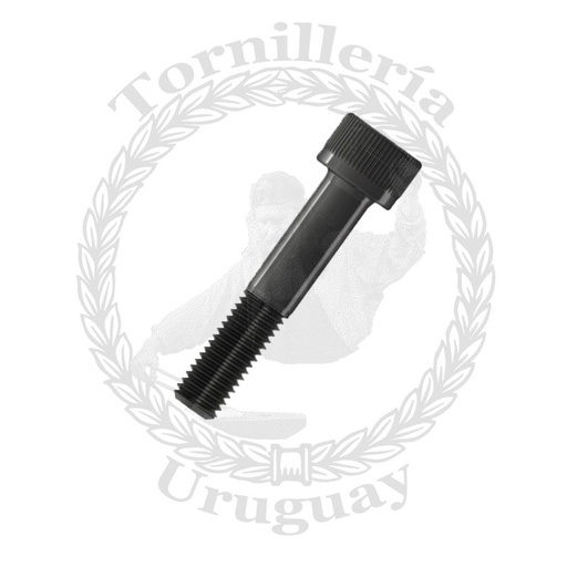 [602*0638] Allen cabeza cilíndrica Gr. 8.2 UNF 1/4" x 1"1/2