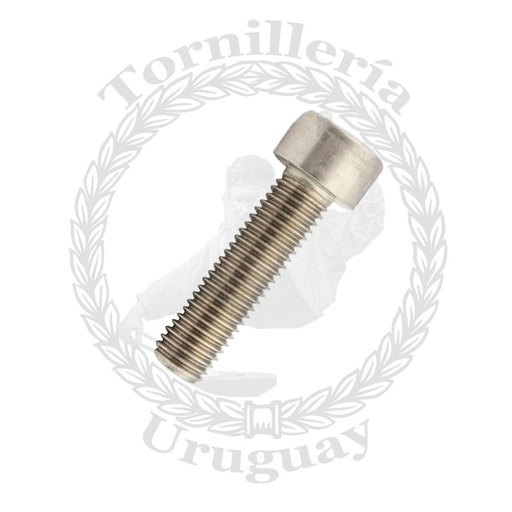 [604*0625] Allen cabeza cilíndrica acero inox. 1/4" x 1"
